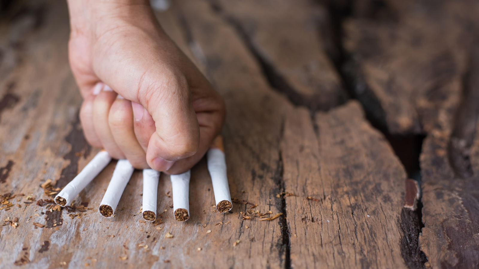 Tabac : comment le laser aide les habitants de Berthez à décrocher