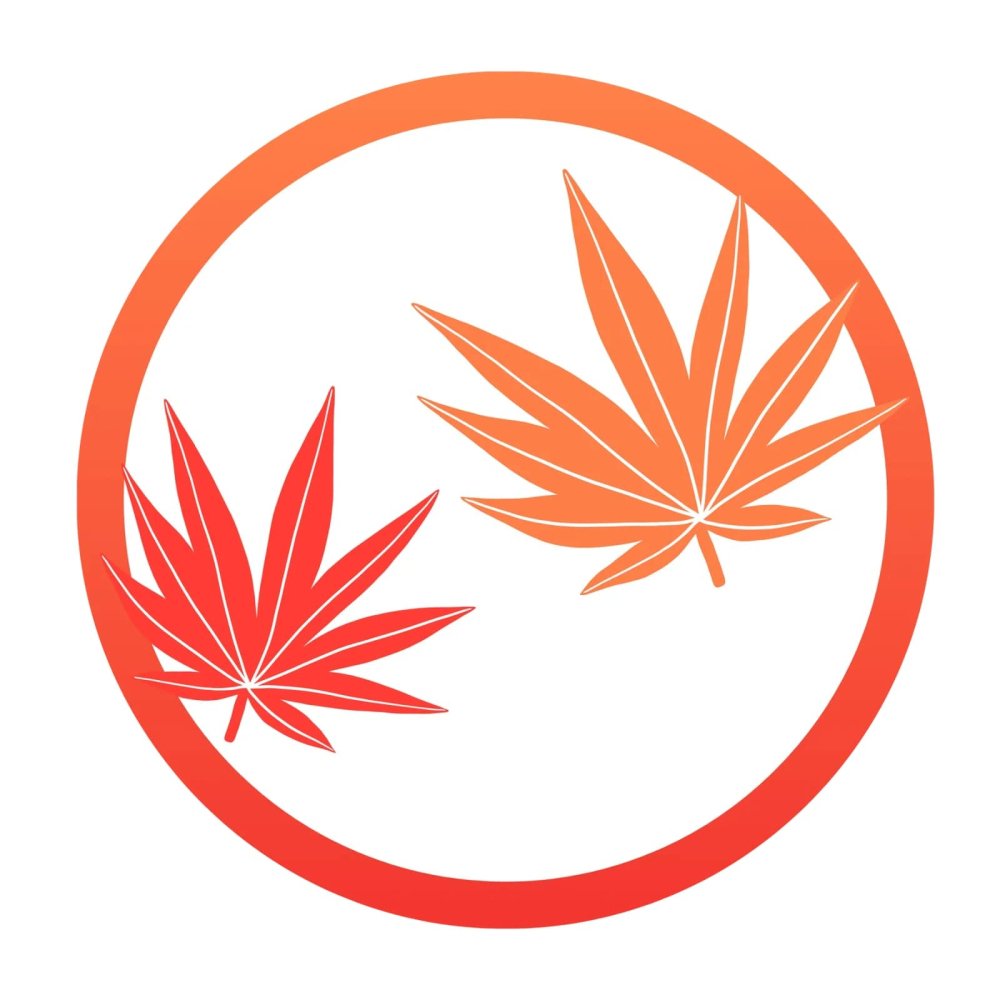 Protocole d'accompagnements et de suivi de sevrage et d'arret du cannabis