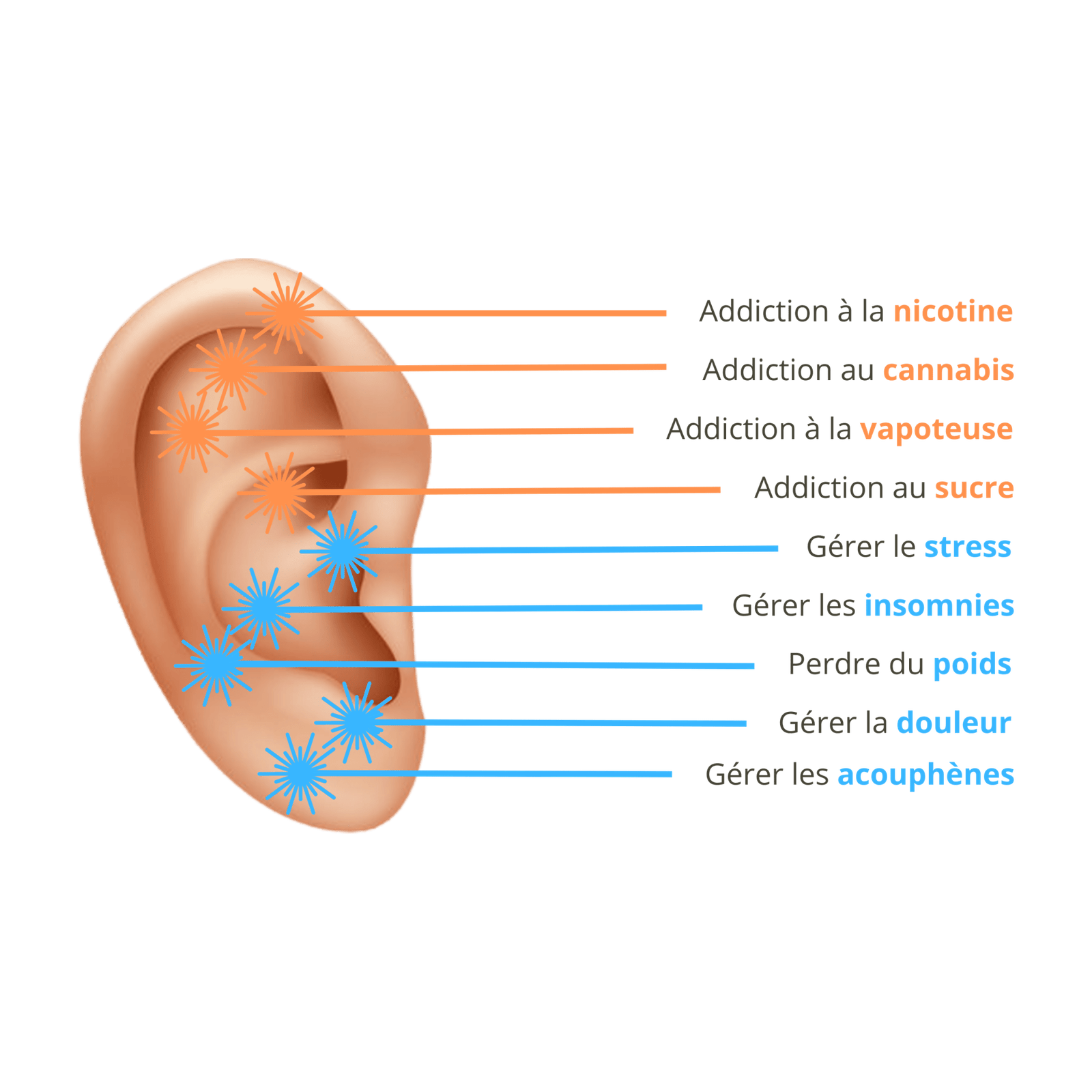 La M Thode La R Flexologie Auriculaire Laser Tat Rapilaser