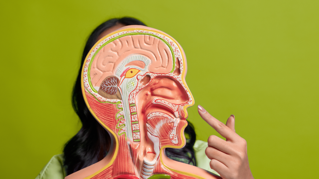 Comment fonctionne la réflexologie laser sur les points réflexes du corps ?